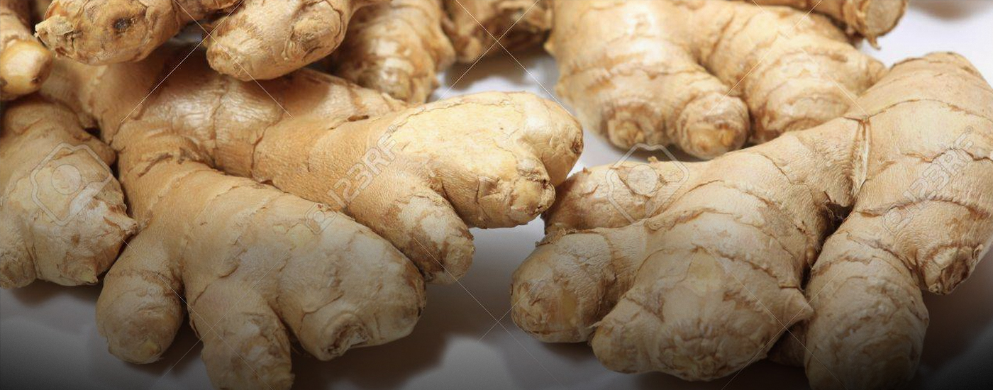 Fresh Ginger Exporters - lintaserath