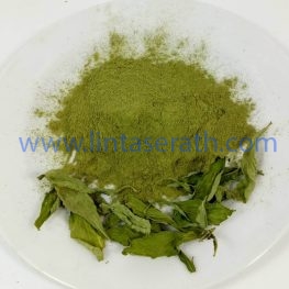 Organic Dried Stevia Suppliers, Exporters, Distributors, Traders From Thailand
