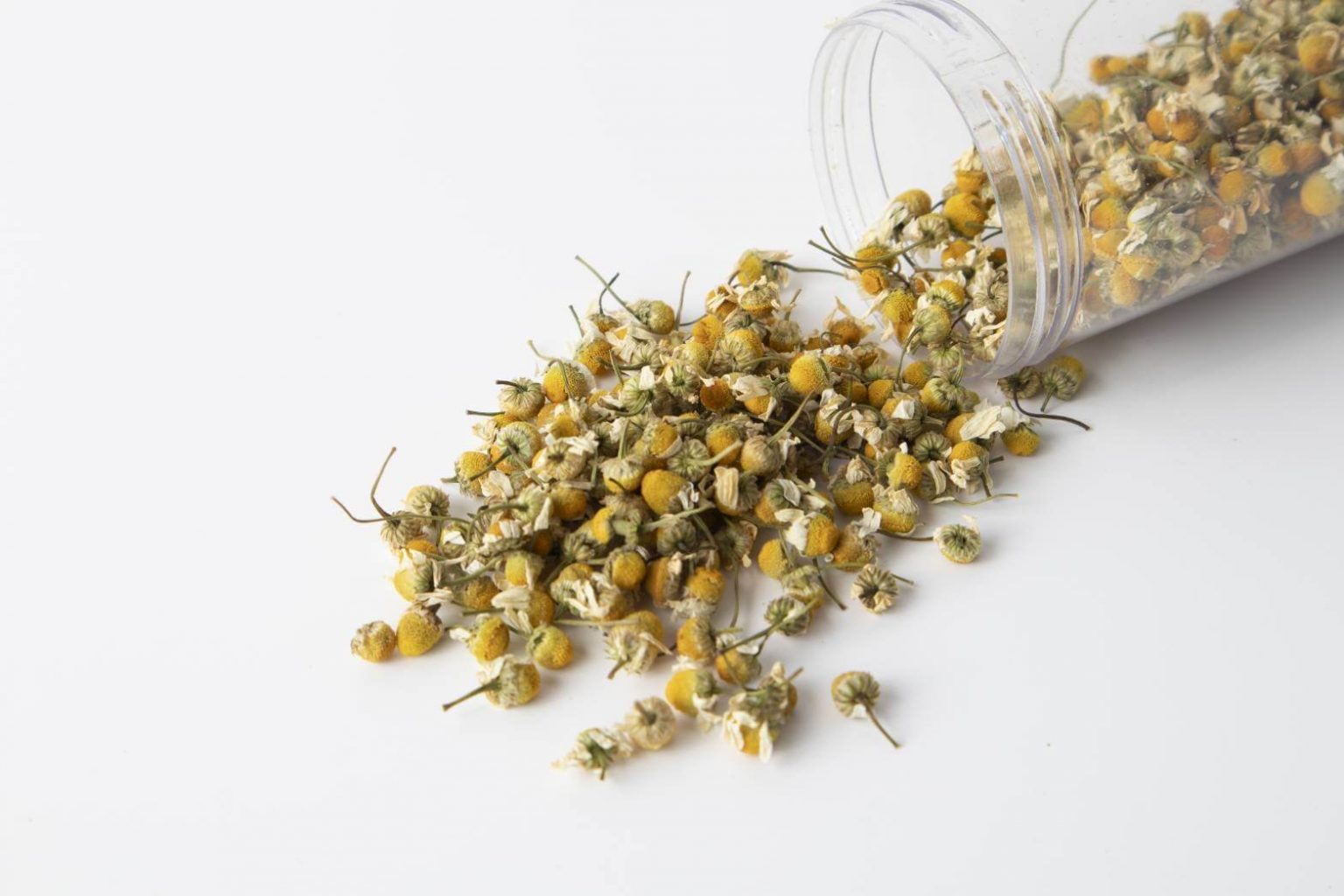 Organic Dried Chamomile Supplier and Manufacturer Linta Serath